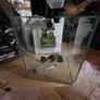fish tank  "Aguael" Image 4