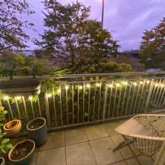 Garden lights