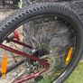 Trek Marlin 7 Gen 3 (brand new) Image 4