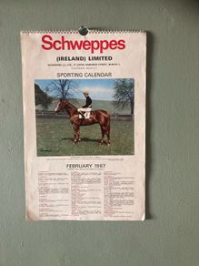 Horse racing