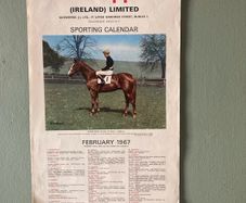 Horse racing