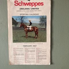 Horse racing