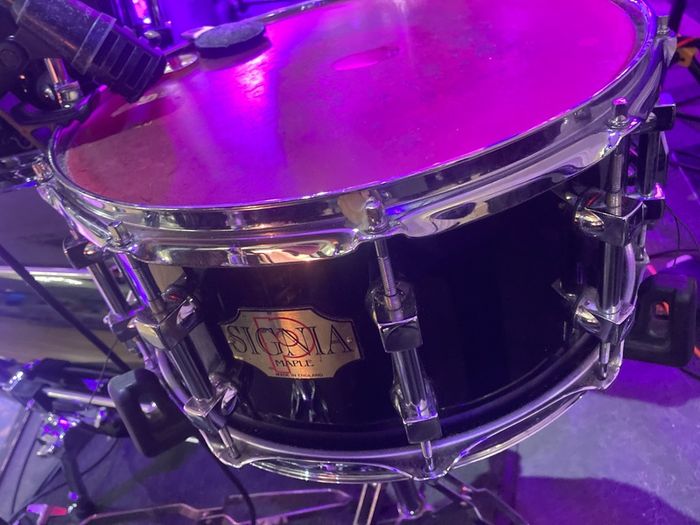 Premier Signia snare