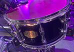 Premier Signia snare