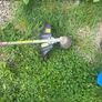Park side strimmer Image 4