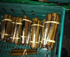 brown crabs , lobsters  , razor clams