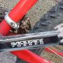 mongoose pro mountain bike Image 6