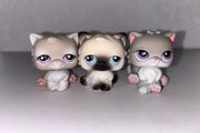 littlest pet shops (LPS) Persian cat bundle!