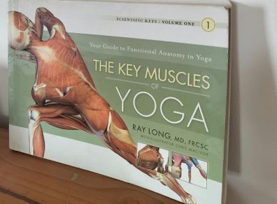 Key Muscles of Yoga by Ray Long