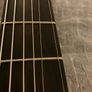 Eastman DM1 Gypsy Jazz Guitar Image 4