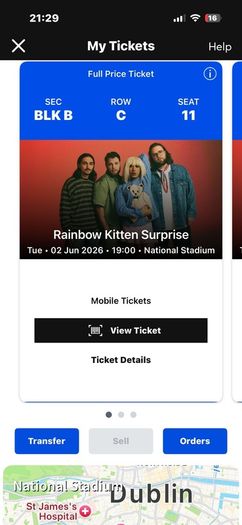 Rainbow Kitten Surprise X 2