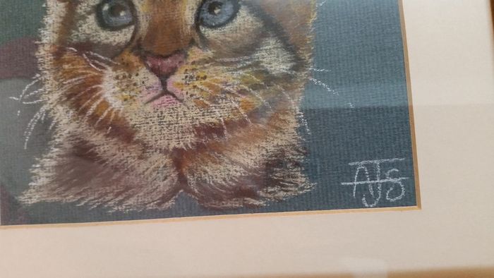Watercolour of cat