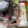 Petrol Lawn Mover with Briggs & Stratton Engine Image 5