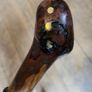Walking stick Image 5