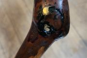 Walking stick