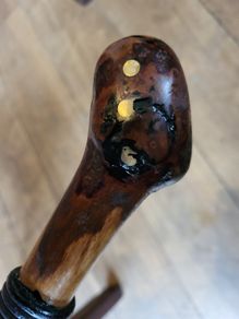 Walking stick