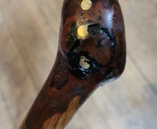 Walking stick