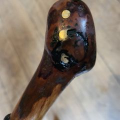 Walking stick