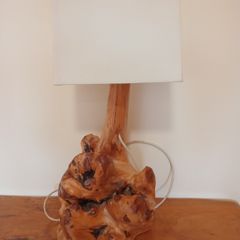 Burrell Root Unique Wooden Sculptural Table Lamp