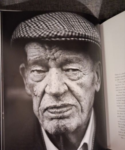 Vanishing Ireland / James Fennell & Turtle Bunbury/ 1st ed., 2011