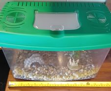 Fish tank