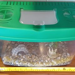 Fish tank