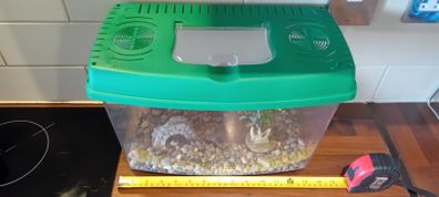 Fish tank