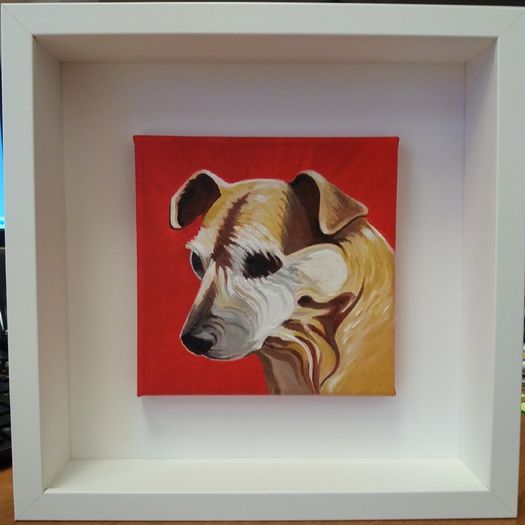 Pet Portraits