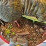 jurassic park diorama custom statue 3d printed and custom painted Image 9