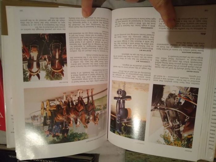 Horse / Equestrian Books