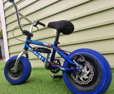 Wildcat Mini BMX
