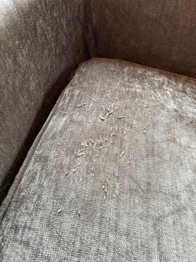 Feather And Down Two Seater Couch And Armchair
