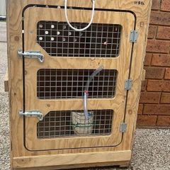 IATA CR 82 Airline Travel Crate