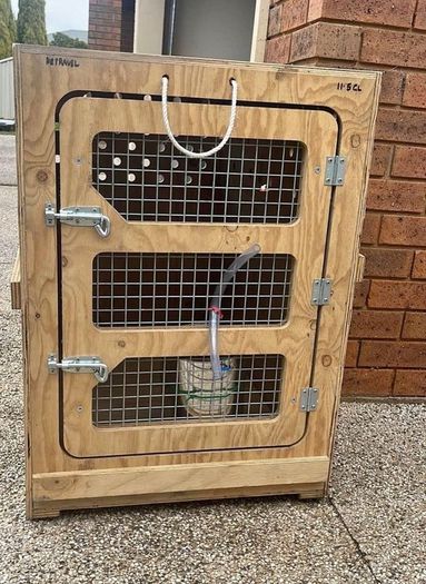IATA CR 82 Airline Travel Crate