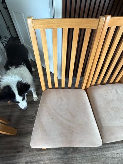 Dining Chairs