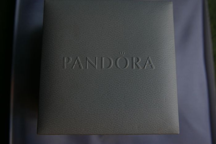 Authentic Pandora Charm Bracelet with 5 Charms Sterling Silver Designer Charm Bead Bracelet 14,5g