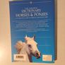 The Usborne Dictionary of Horses & Ponies Image 2