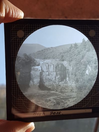 photographic plates from 1930s