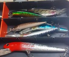 Fishing lures