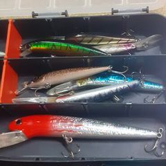 Fishing lures