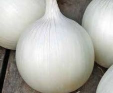 (O) Onion White Agostana seeds 5g (604937)