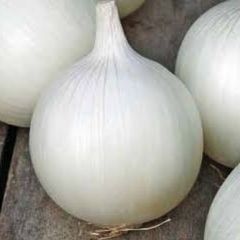 (O) Onion White Agostana seeds 5g (604937)