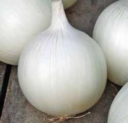 (O) Onion White Agostana seeds 5g (604937)
