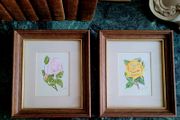 Vintage pair framed of signed pastel rose botanicals