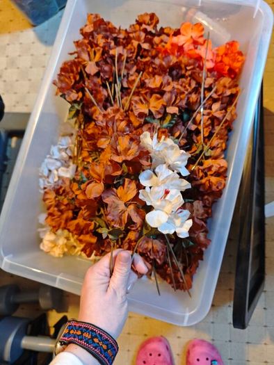 beige and brown flowers on stems