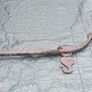 Vintage horse harness part Image 4