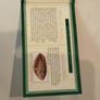 Reproduction Roman Coin Set 2 - The Romans in Britain One Gold And One Silver Image 4