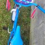 bike Image 2