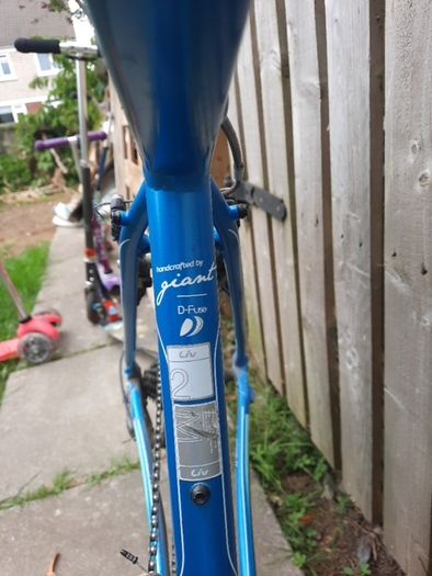 Giant ladies bike