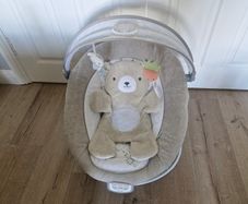 Baby Bouncer